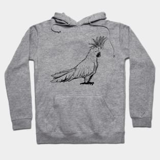 Cockatoo - Crested Cockatoo Hoodie